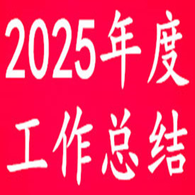 2025年度工作总结