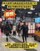 旅意华侨华人生存与创业环境的挑战与思考